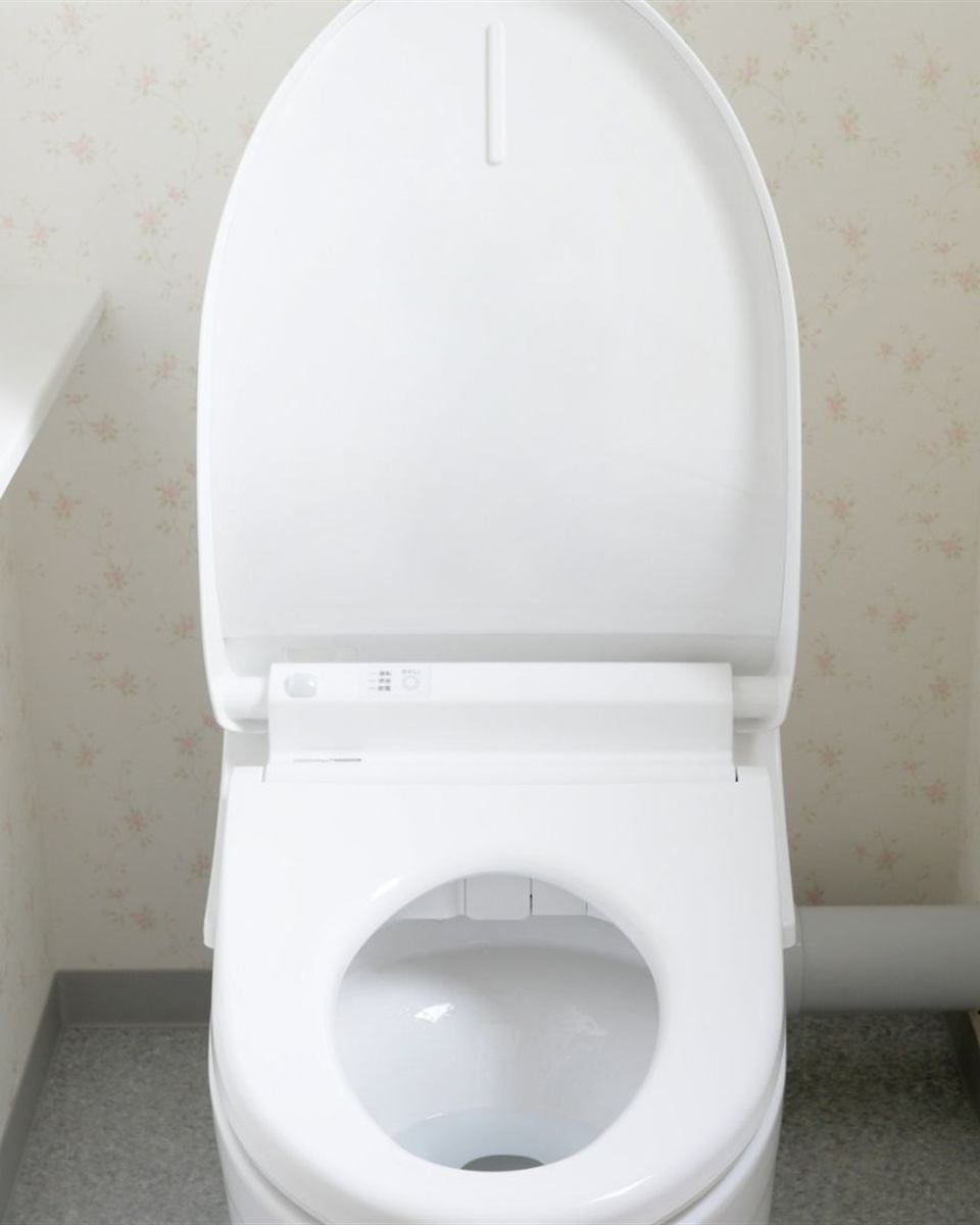 Plumber setting a new comfort-height toilet on a fresh wax ring in Reidsville