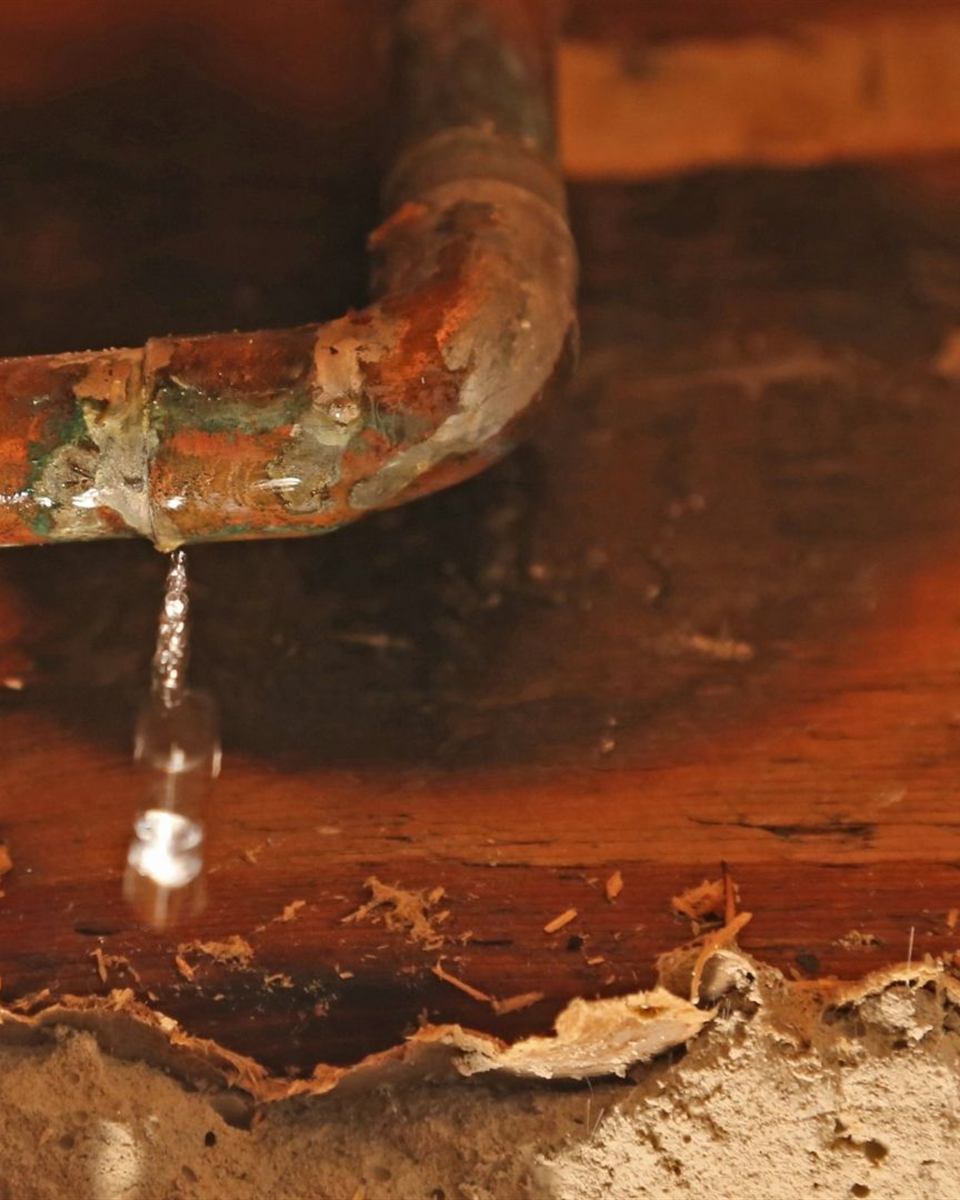Cracked section of old clay sewer pipe removed from a Rockingham County yard